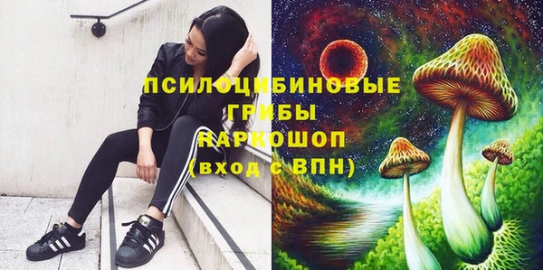 не бодяженный Беломорск