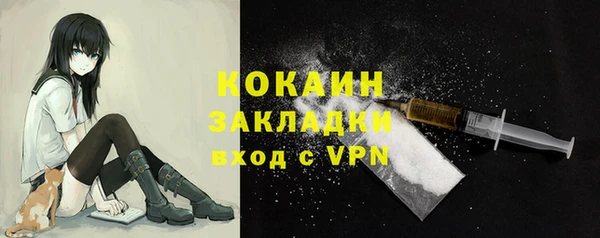 соль ск Козловка