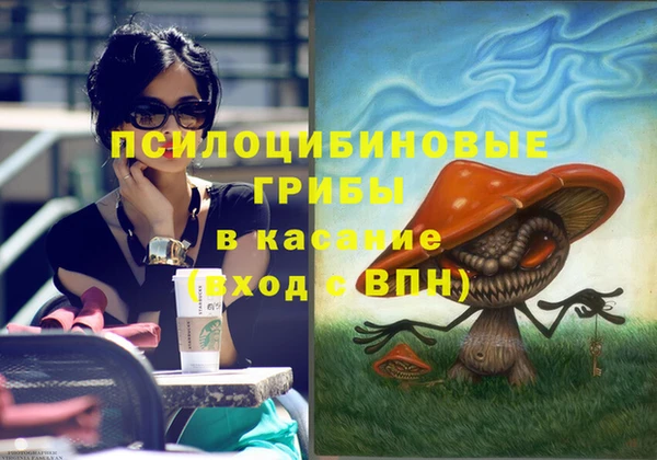 меф Коряжма