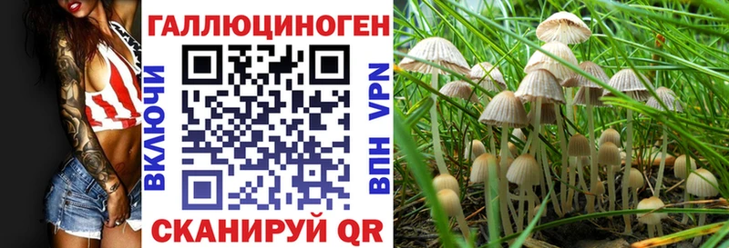 Галлюциногенные грибы прущие грибы  Богданович 