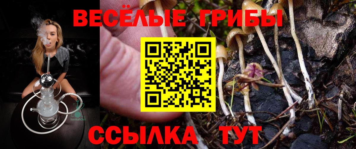 Богданович  цена   Псилоцибиновые грибы Magic Shrooms  Вход с VPN  Псилоцибиновые грибы мухоморы 